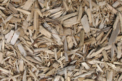 biomass boilers Conicavel